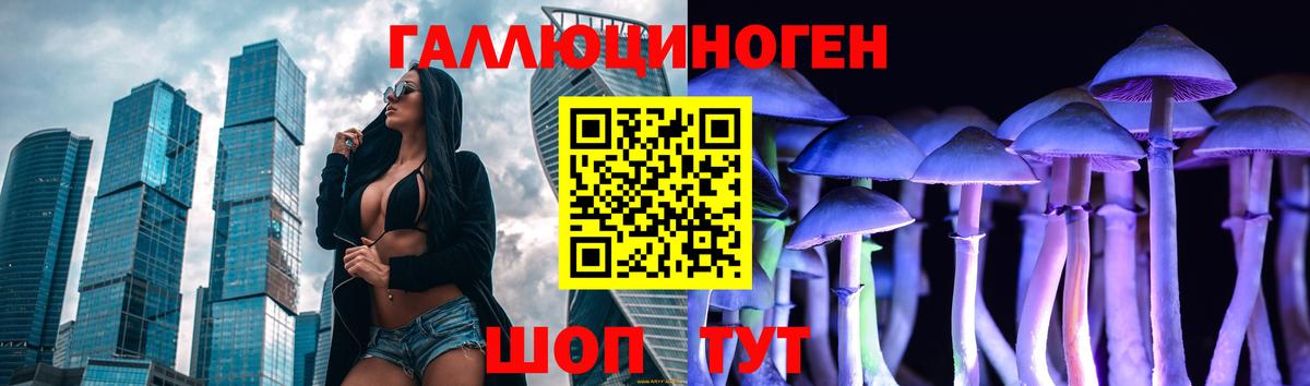 Псилоцибиновые грибы мицелий  Псилоцибиновые грибы Psilocybe  Советск  Вход с VPN 